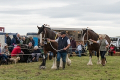Hinderwell2017-021