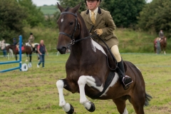 Hinderwell2017-031