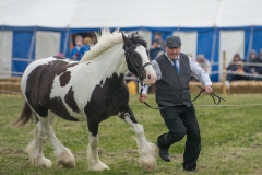 Hinderwell2017-055