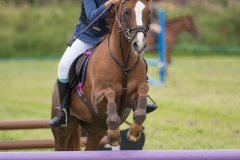 Hinderwell2017-069