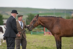 Hinderwell2017-073