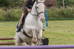 Hinderwell2017-115