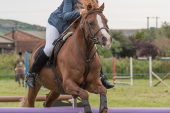 Hinderwell2017-117