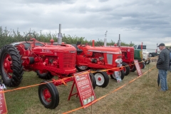 Hinderwell Show Web-002-2189