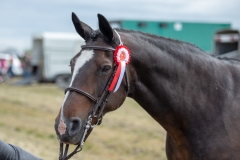 Hinderwell Show Web-015-7457