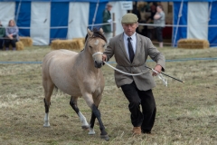 Hinderwell Show Web-017-7460