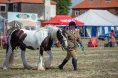 Hinderwell Show Web-020-7467