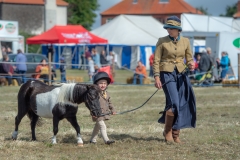 Hinderwell Show Web-021-7470