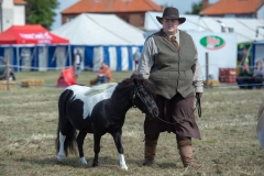 Hinderwell Show Web-027-7478