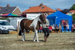Hinderwell Show Web-030-7482