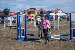 Hinderwell Show Web-040-2242