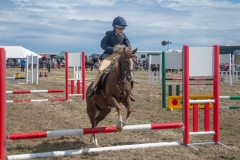 Hinderwell Show Web-050-2259