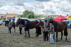 Hinderwell Show Web-056-7569
