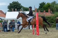Hinderwell Show Web-066-7608