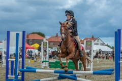 Hinderwell Show Web-080-7660