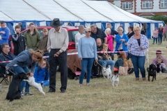Hinderwell Show Web-090-7706