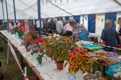 Hinderwell Show Web-096-2348
