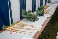 Hinderwell Show Web-097-2350