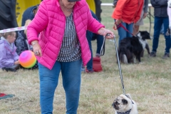 Hinderwell Show Web-118-7725