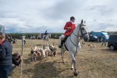 Hinderwell Show Web-123-2451